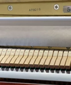 Kawai 504F