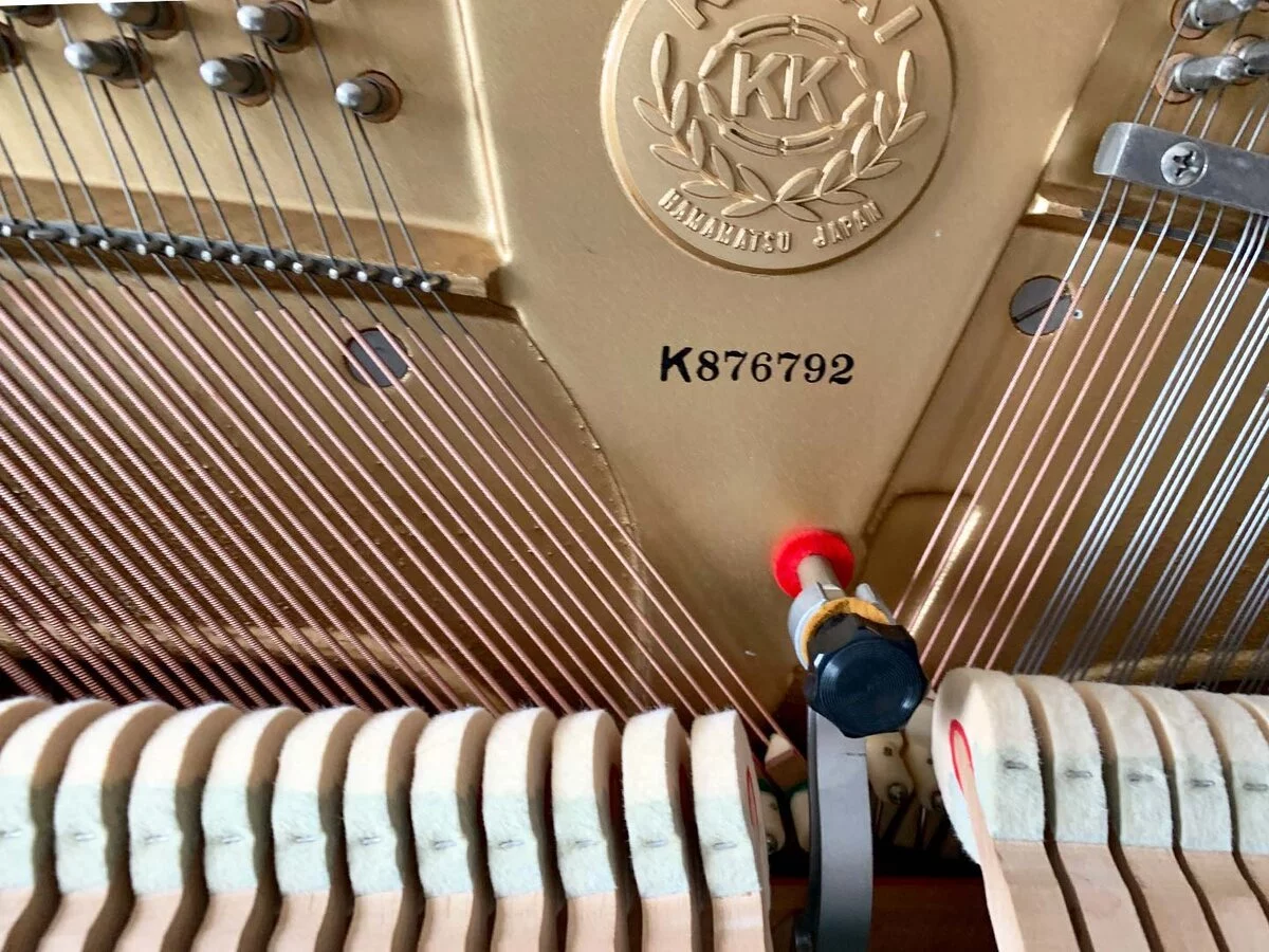 KAWAI BL51 PE