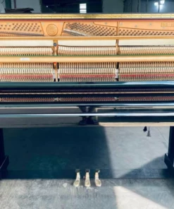 KAWAI BS-10
