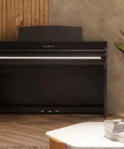 KAWAI CA501 R