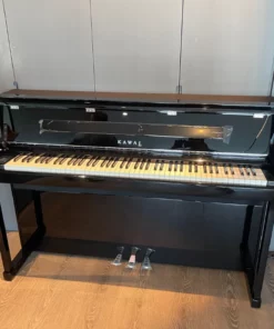 KAWAI CA901 EP (USED)