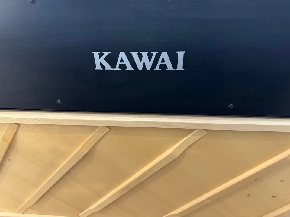 KAWAI CA9800GP B - Elite Piano