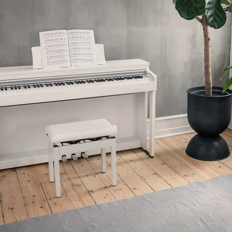 KAWAI CN201 MW