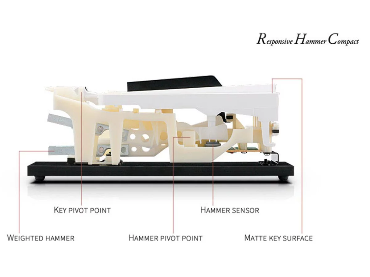 KAWAI CN22 R - Elite Piano
