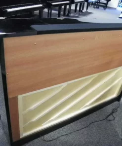 KAWAI CS5
