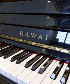 KAWAI CX-21D PE