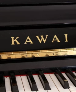 KAWAI CX-21D PE