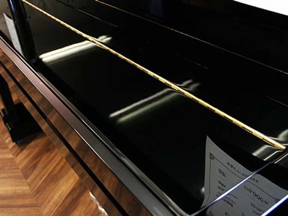 KAWAI CX-21DP - Elite Piano