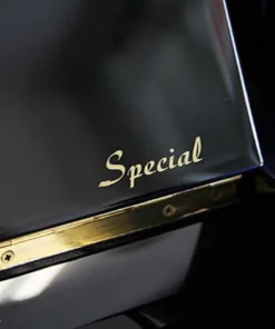 KAWAI CX-21DP