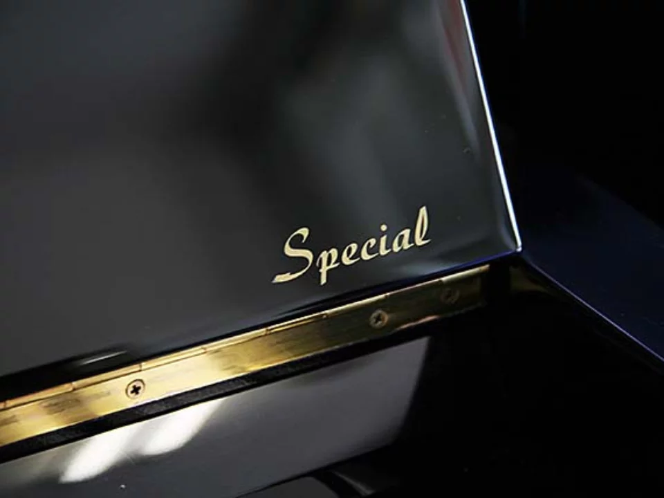 KAWAI CX-21DP - Elite Piano