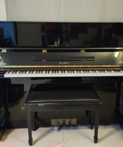 KAWAI DS-55 (Limited Edition)