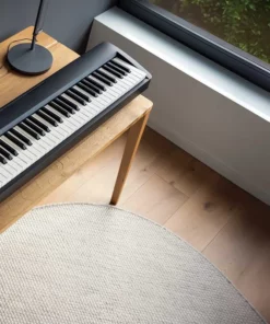 KAWAI ES60 B (Full Bộ)