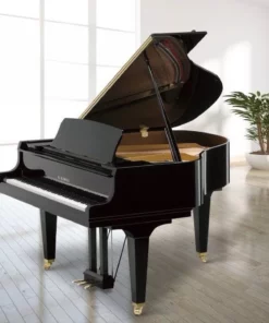 KAWAI GL10 PE (Japan)