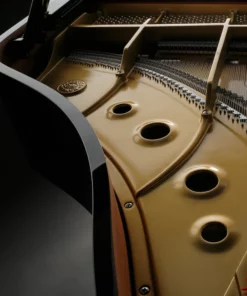 KAWAI GL30 PE