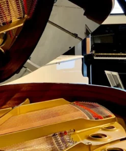 KAWAI GL40