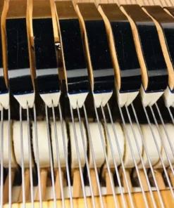 KAWAI GS-50