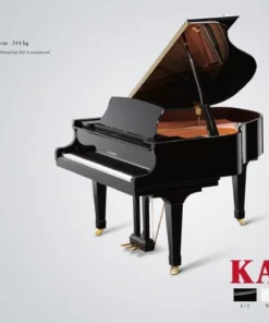 KAWAI GX1