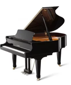 KAWAI GX1