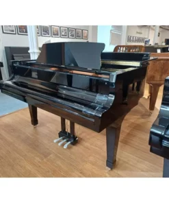 KAWAI GX1