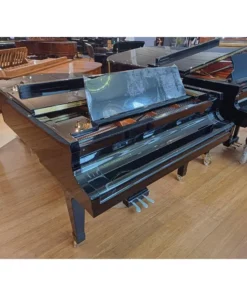 KAWAI GX1