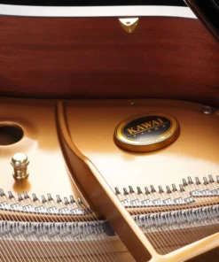 KAWAI GX1