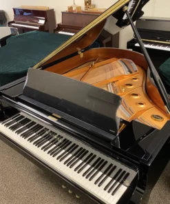KAWAI GX2 BW
