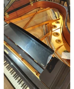 KAWAI GX2 BW