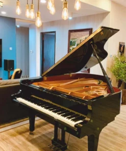 KAWAI GX3