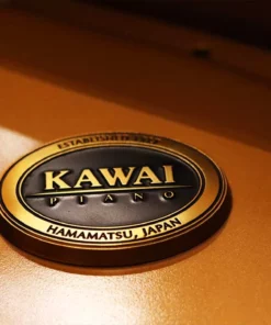 KAWAI GX3