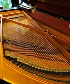 KAWAI GX3