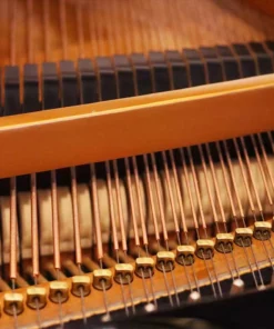 KAWAI GX3