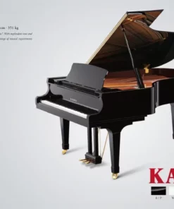 KAWAI GX5