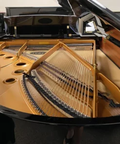 KAWAI GX5