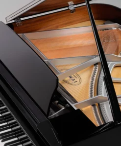 KAWAI GX5