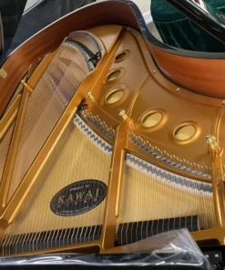 KAWAI GX5