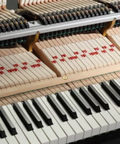 KAWAI GX6 (USED)