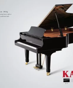 KAWAI GX6