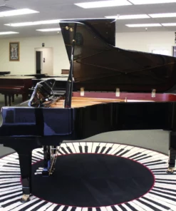 KAWAI GX6