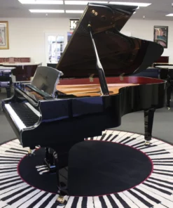 KAWAI GX6