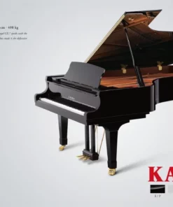 KAWAI GX7