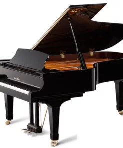 KAWAI GX7