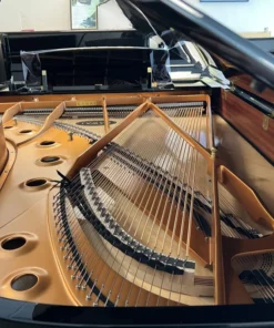 KAWAI GX7