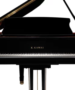 KAWAI GX7