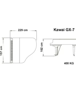KAWAI GX7