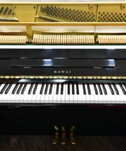 KAWAI HA-20W