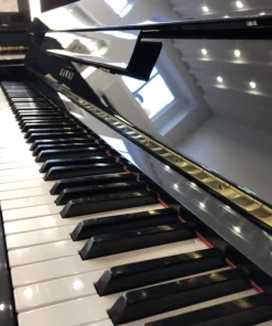 KAWAI HA-20W