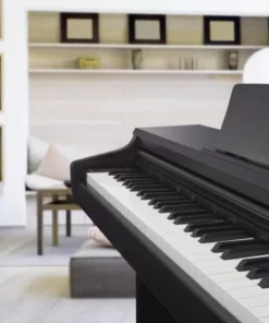 KAWAI KDP-120 B