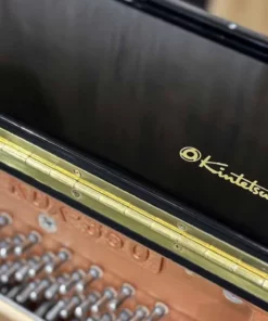 KAWAI KDX350