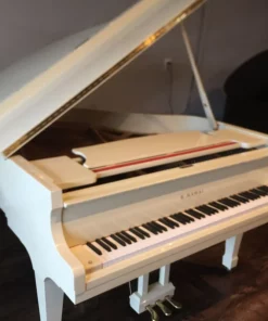 KAWAI KG-1E PM