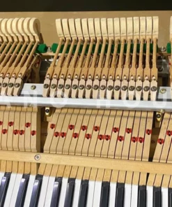 KAWAI KG-1E PM